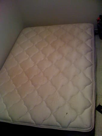 Sealy Posturepedic Mattress- $50 1