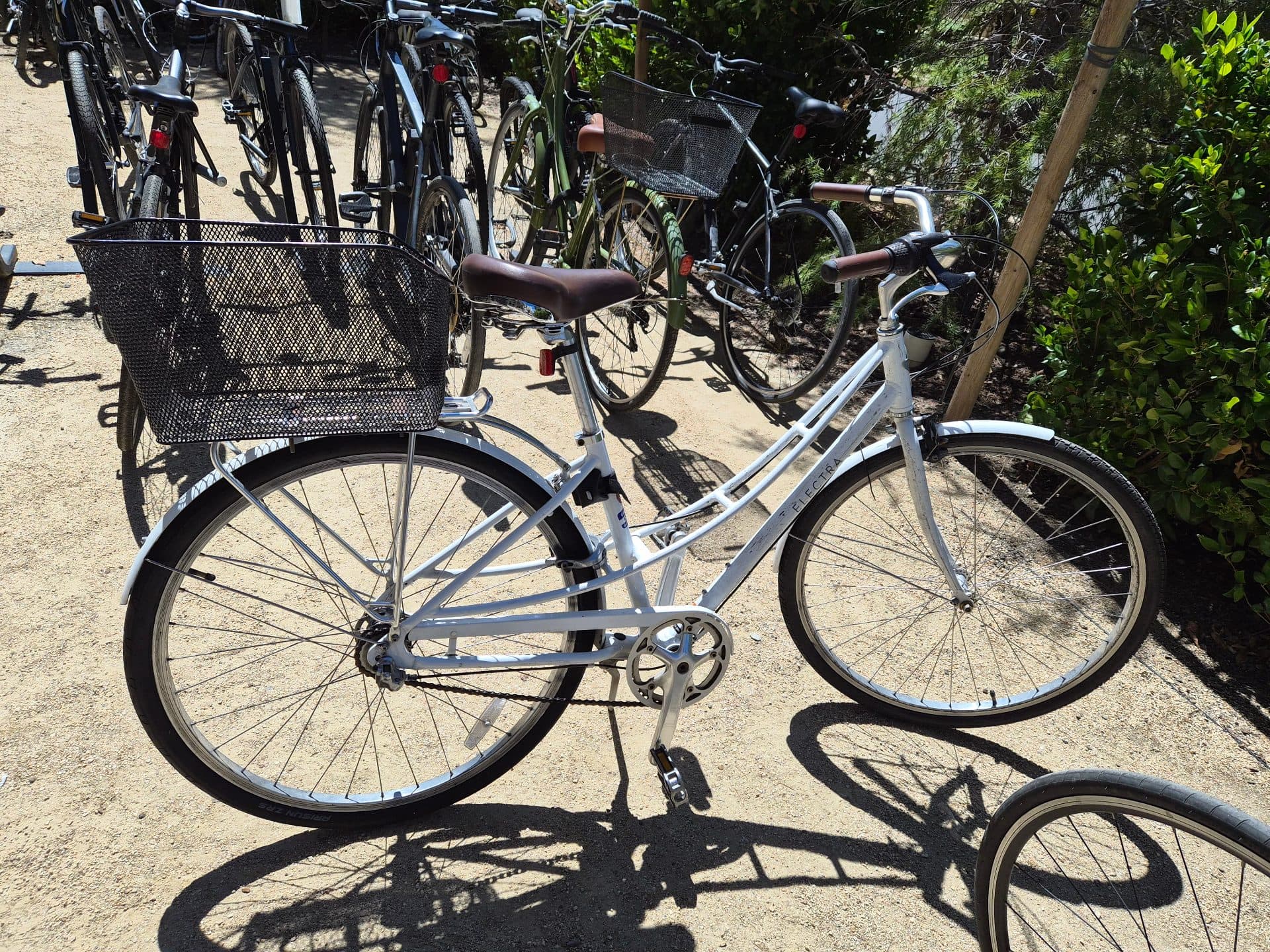 electra loft bicycle 7i Ladies' Incycle Bicycles This is your city Electra Loft 7D Step-Over -
